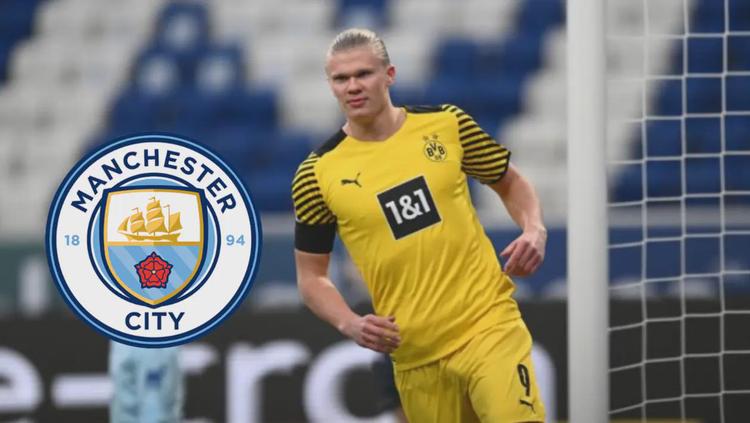 成熟演员的 成熟演员的