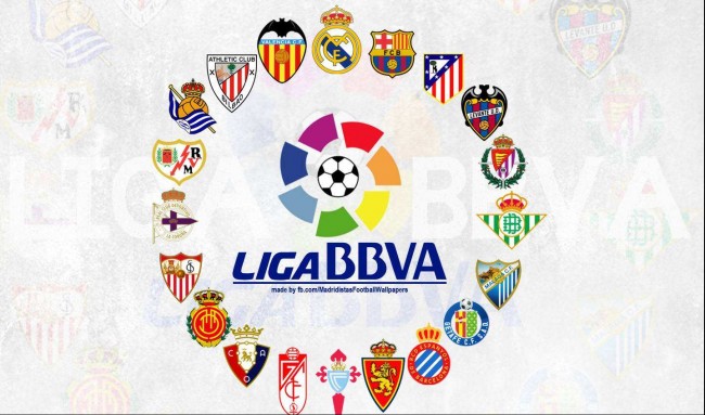 青训体系长 青训体系长